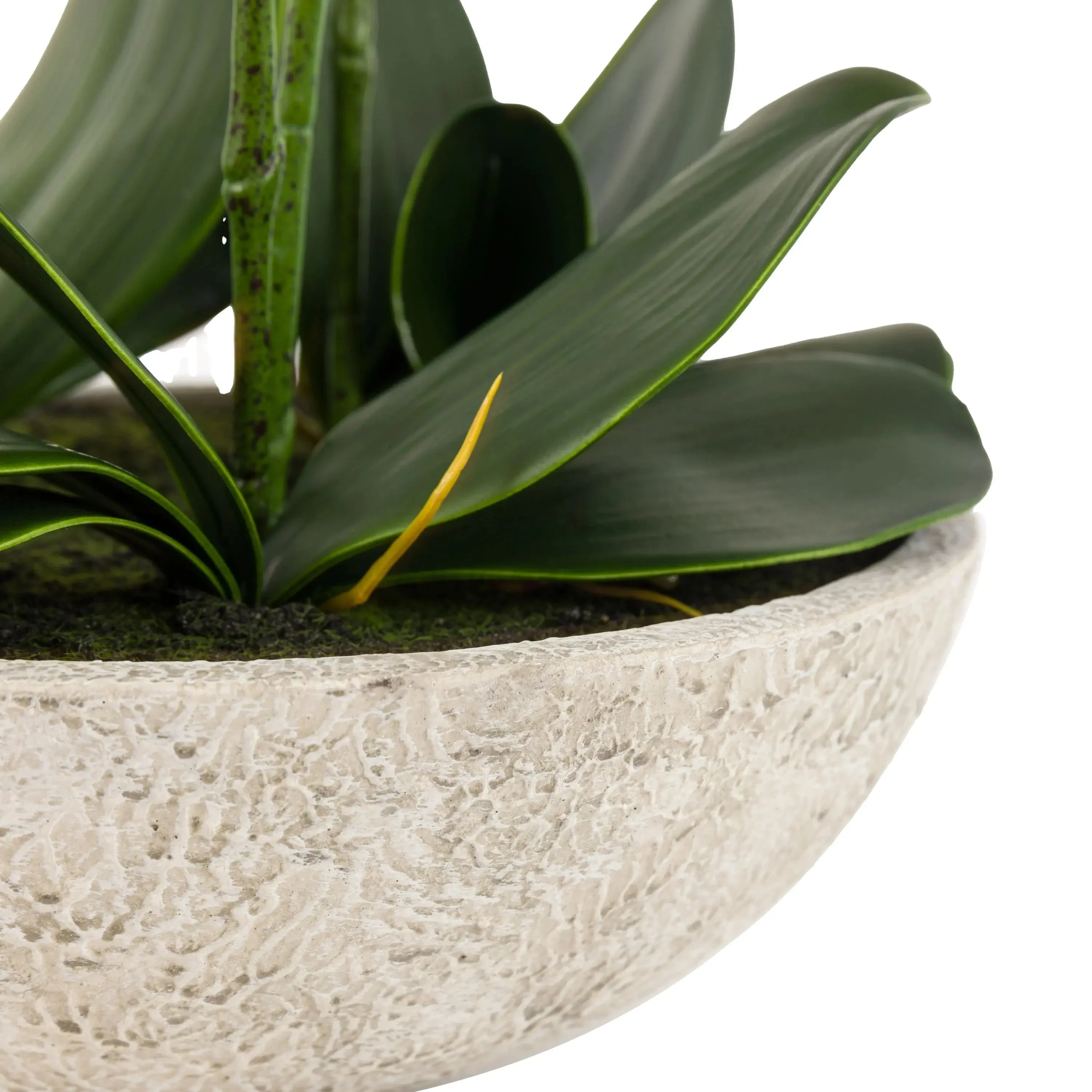 Oversized Faux Orchid in White Cement Effect Pot - Image 3